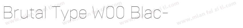 Brutal Type W00 Blac字体转换